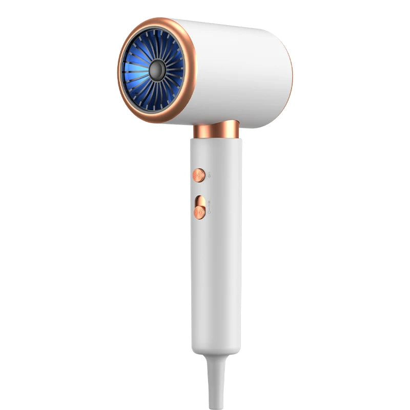 Professional Hair Dryer Hot Cold Wind Air Brush