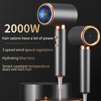 Professional Hair Dryer Hot Cold Wind Air Brush