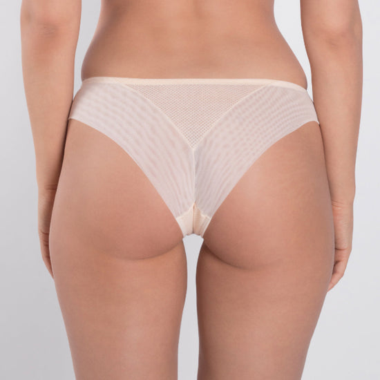 Sheer Mesh Tulle Embroidered Tanga Panty Valeria Biscuit