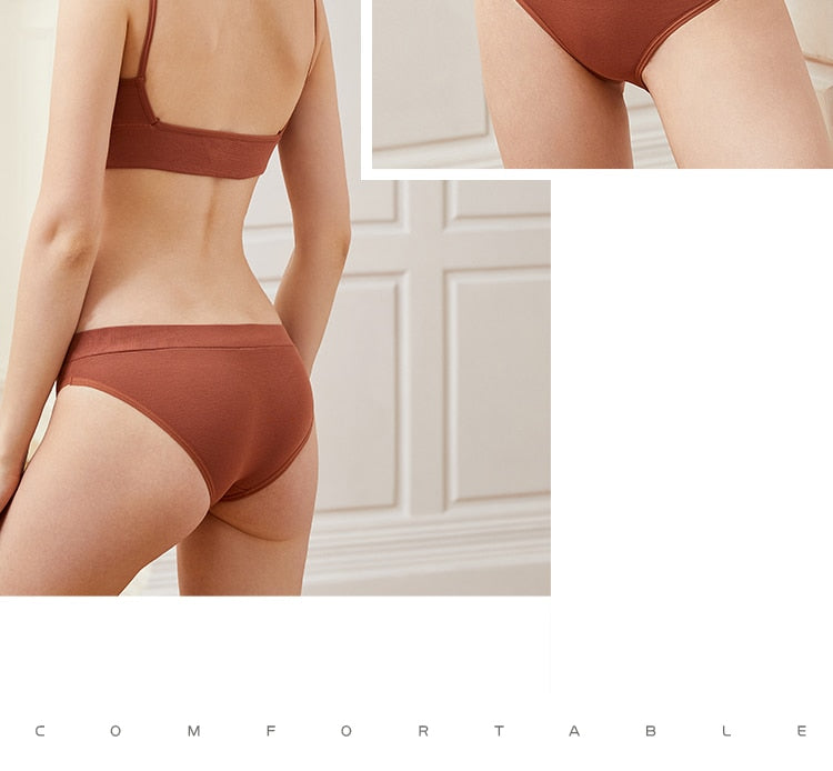 Fashion Cotton Lingerie Wireless Bras - Walmel